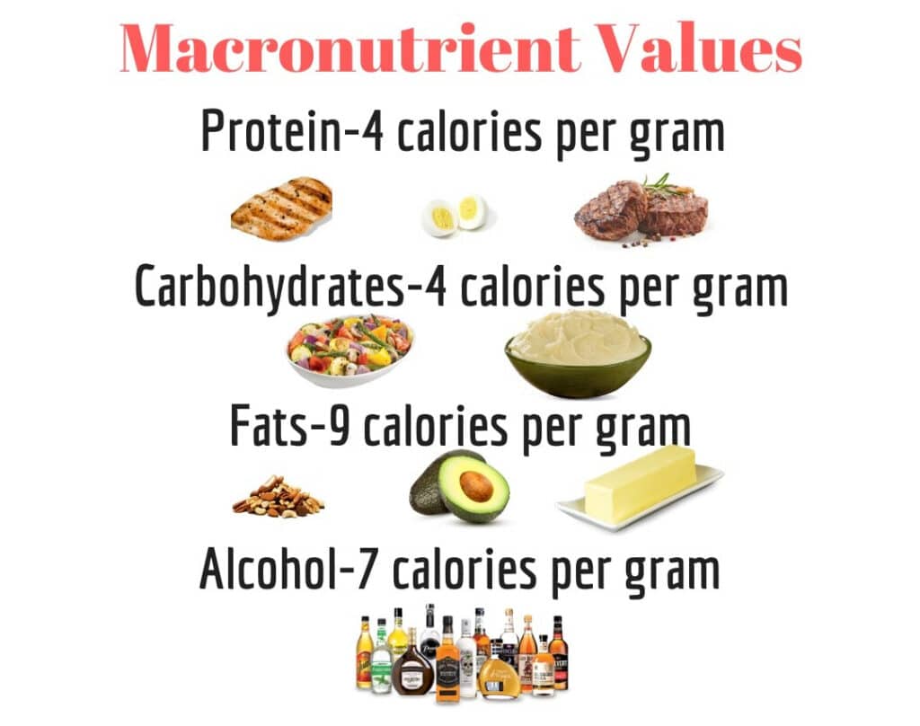 Macronutrients and fitness