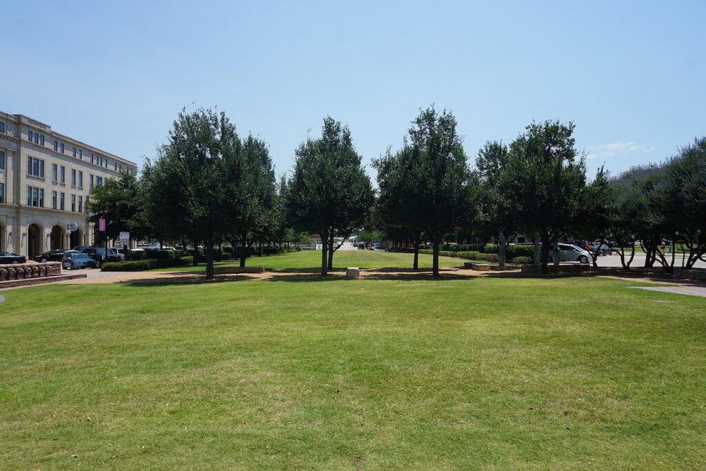 Green grass with trees at Frisco Square in Texas